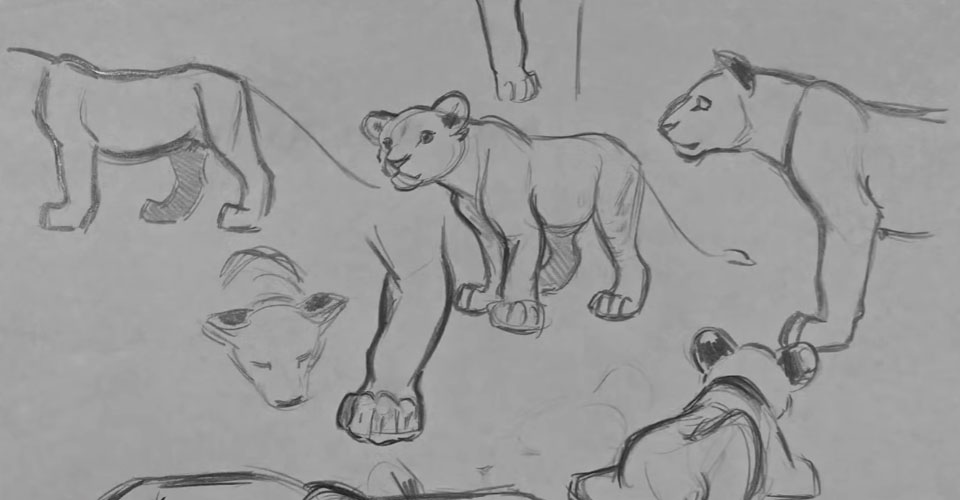 Diseño de Personajes Animales