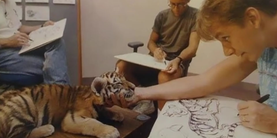 Diseño de Personajes Animales