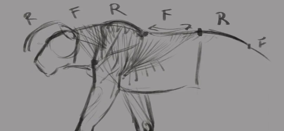 Diseño de Personajes Animales