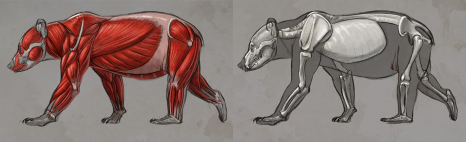 Aprender a Diseñar Personajes