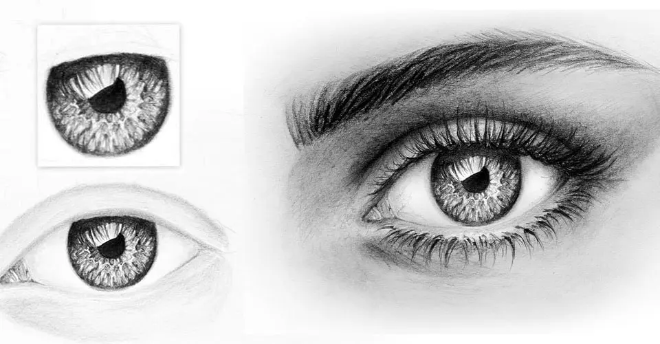 Como Dibujar Ojos: Tutoriales, Guías y Recursos Gratuitos