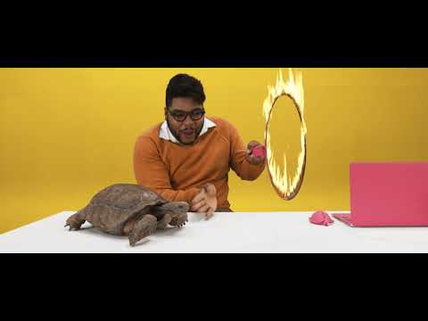 Build technology skills and grow your career with Pluralsight