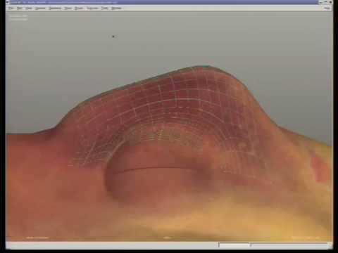 Painting 3d Models with Ptex