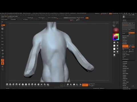 Anatomy study - Female Torso