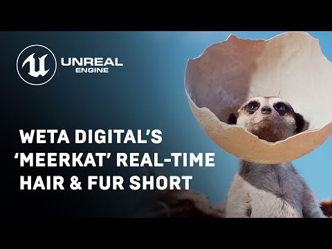 Weta Digital’s ‘Meerkat’ Real-Time Hair &amp; Fur Short | Unreal Engine