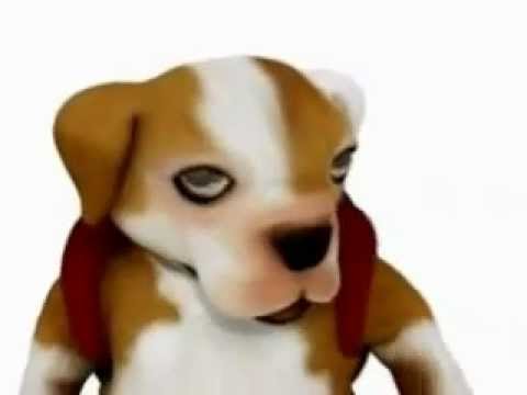 Animales Cantantes Factor Xs Original version