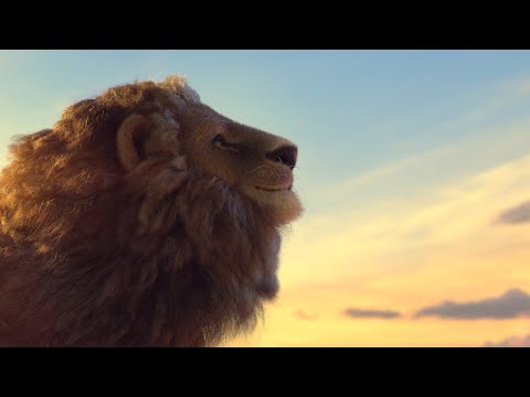 The Bitter Bond: Award-winning Short Film by Born Free Foundation