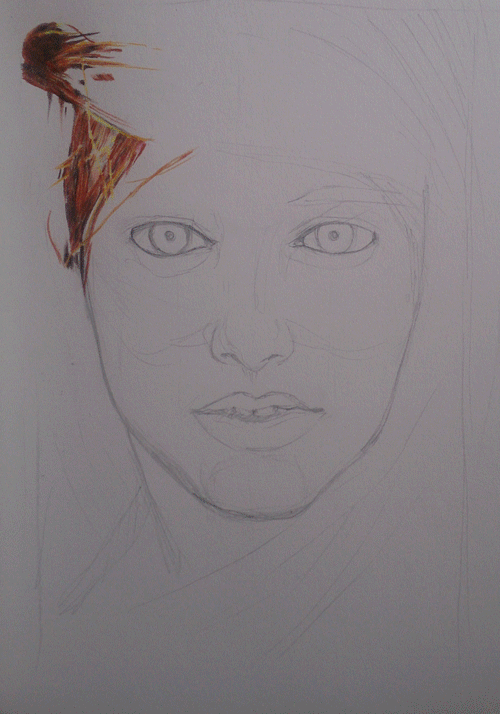 Portafolio de Daniel Cuervo