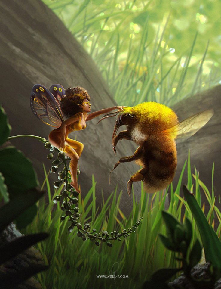 Portafolio de Nell Fallcard