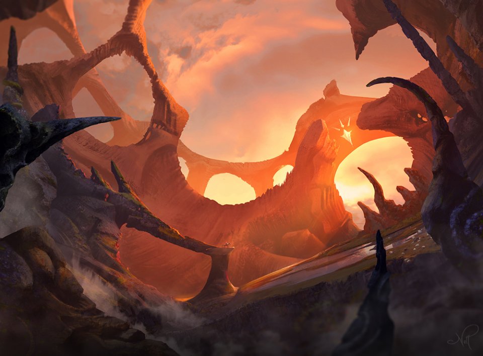 Portafolio de Nell Fallcard