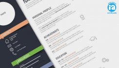 El Currículum del Animador