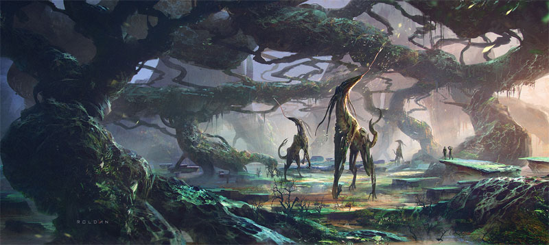 Portafolio de Juan Pablo Roldan