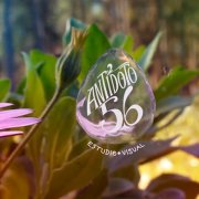 Antídoto 56