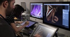 Opciones para Estudiar Animación en México