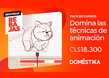 Domestika - CO - Domina las Técnicas de Animación