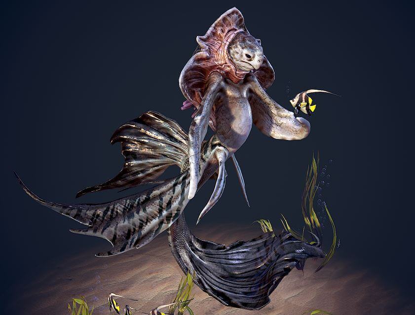 natalia-p-gutierrez-tortugo