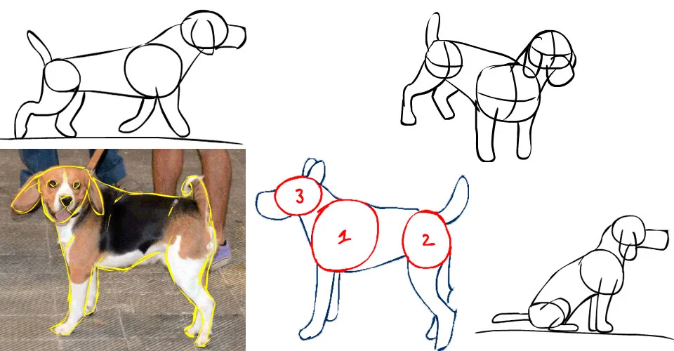Como Dibujar un Perro: Guías, Tutoriales y Recursos Como Dibujar un Perro: Guías, Tutoriales y Recursos