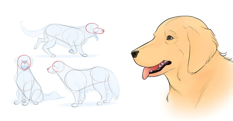 Como Dibujar un Perro: Guías, Tutoriales y Recursos Como Dibujar un Perro: Guías, Tutoriales y Recursos