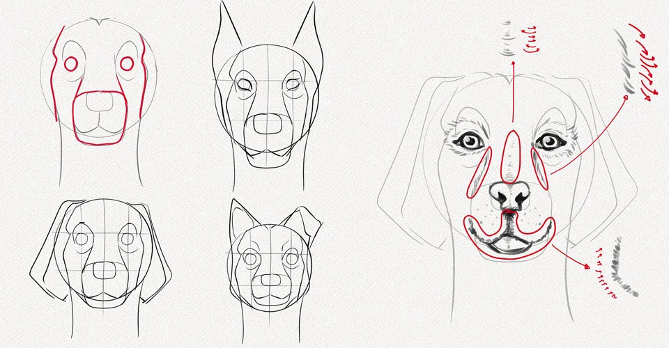 Como Dibujar un Perro: Guías, Tutoriales y Recursos