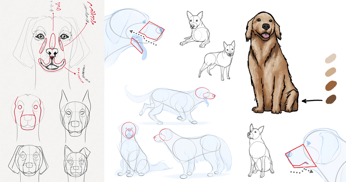  Como Dibujar un Perro  Guías, Tutoriales y Recursos