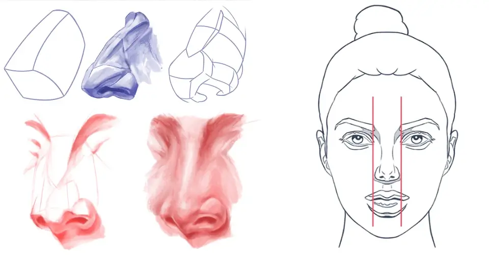 Cómo Dibujar Narices: Tutoriales, Guías y Recursos Gratuitos Cómo Dibujar Narices: Tutoriales, Guías y Recursos Gratuitos