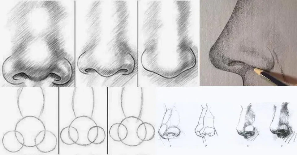 Cómo Dibujar Narices: Tutoriales, Guías y Recursos Gratuitos Cómo Dibujar Narices: Tutoriales, Guías y Recursos Gratuitos