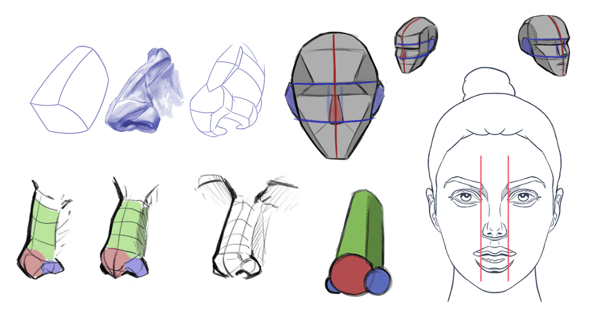Cómo Dibujar Narices: Tutoriales, Guías y Recursos Gratuitos Cómo Dibujar Narices: Tutoriales, Guías y Recursos Gratuitos